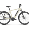 ROSE XTRA WATT EVO PLUS 2 Herren