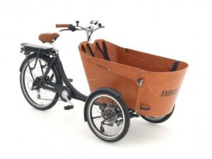 Babboe Carve-E 7K HD 450 | E-Lastenräder