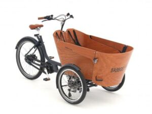 Babboe Carve Mountain ENV HD 400 | E-Lastenräder