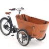 Babboe Carve Mountain ENV HD 500 | E-Lastenräder
