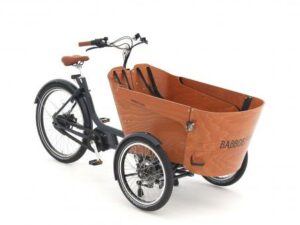 Babboe Carve Mountain ENV HD 500 | E-Lastenräder