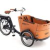 Babboe Curve-E 7K HD 375 | E-Lastenräder
