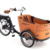 Babboe Curve-E 7K HD 450 | E-Lastenräder