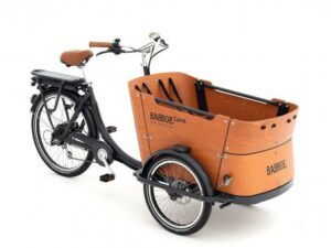Babboe Curve-E 7K HD 450 | E-Lastenräder