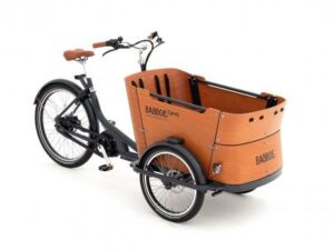 Babboe Curve Mountain ENV HD 400 | E-Lastenräder