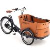 Babboe Curve Mountain ENV HD 500 | E-Lastenräder