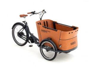 Babboe Curve Mountain ENV HD 500 | E-Lastenräder