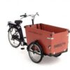 Babboe Dog-E 7K TB/MD 500 | E-Lastenräder
