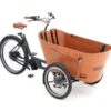 Babboe Flow Mountain ENV HD 400 | E-Lastenräder