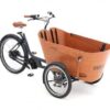 Babboe Flow Mountain ENV HD 500 | E-Lastenräder
