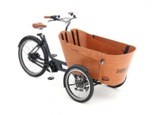 Babboe Flow Mountain ENV HD 500 | E-Lastenräder