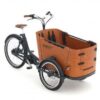 Babboe Go Mountain ENV HD 400 | E-Lastenräder