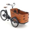 Babboe Go Mountain ENV HD 500 | E-Lastenräder