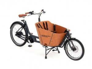 Babboe Mini Mountain ENV HD 500 | E-Lastenräder