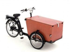 Babboe Pro Trike-E 265L RB/HD 450 | E-Lastenräder