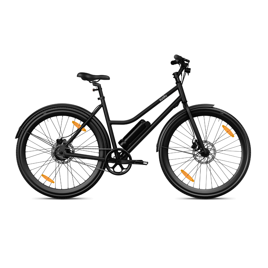 E-Bike California Roll 3.0