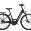 Diamant Beryll Deluxe+ RT Wave 2022 | E-Cityräder
