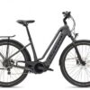 Diamant Opal+ Wave 2022 | E-Trekkingräder