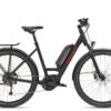 Diamant Zing+ Wave 2022 | E-Trekkingräder