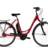 Raleigh Cardiff LB Plus | E-Cityräder