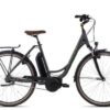 Raleigh CARDIFF LB Plus | E-Cityräder