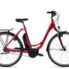 Raleigh Cardiff R LB | E-Cityräder